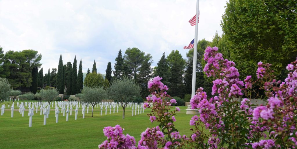 Rhone American Cemetery purple flowers with graves in the distance