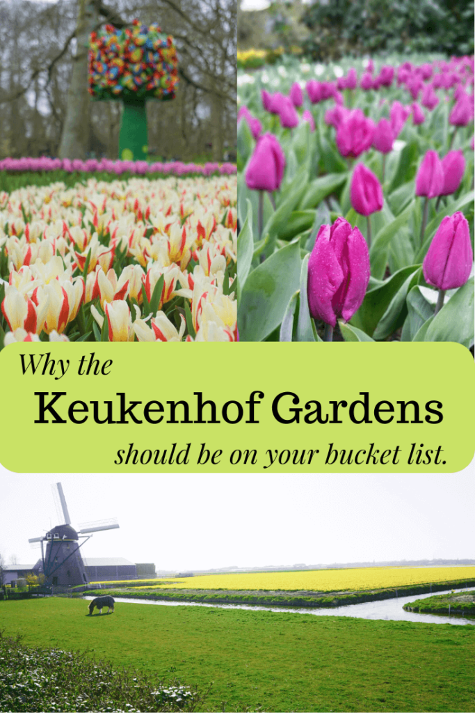 Pinterest Cover for Keukenhof Gardens
