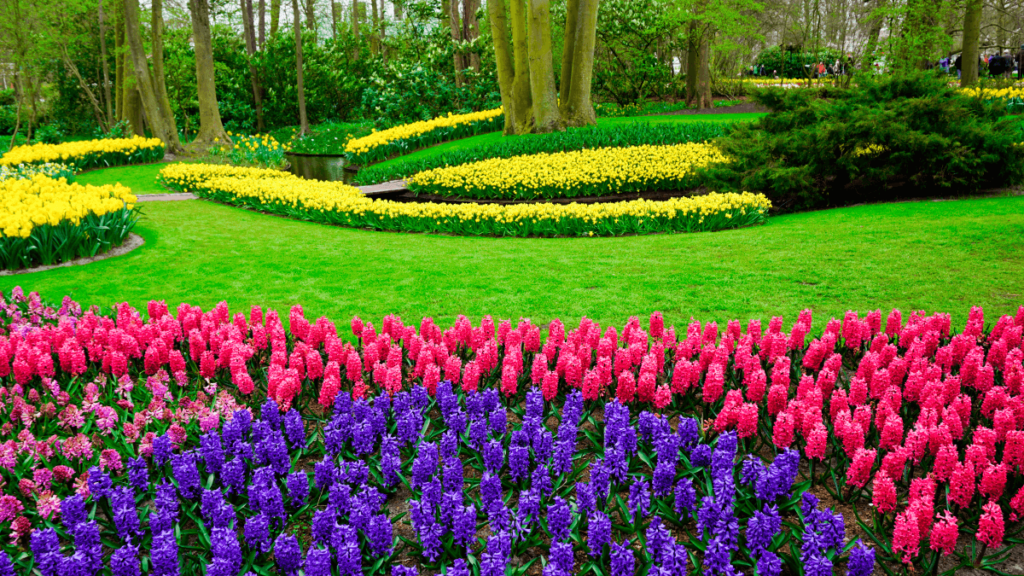 Why the Keukenhof Gardens Should be on your Bucket List. - Trail Seasoning