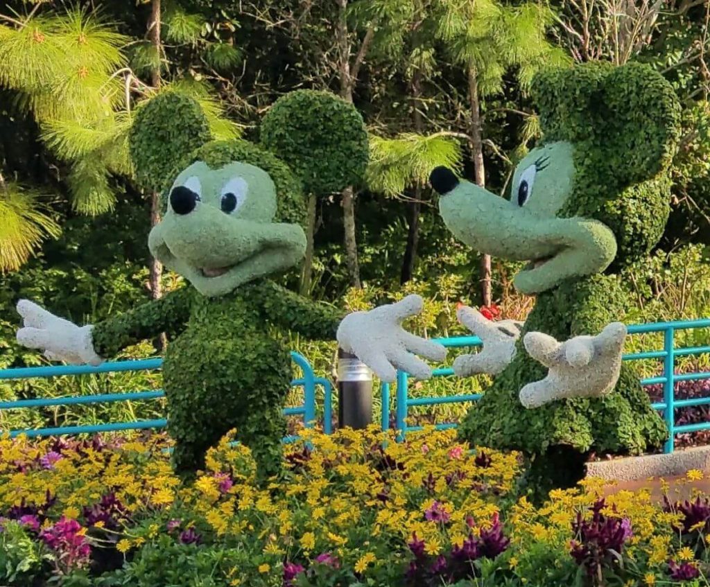 Mickey and Minnie Topiary at EPCOT Flower and Garden Festival
