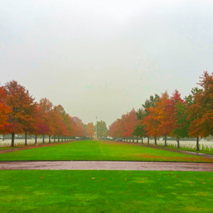Netherlands American Cemetery with fall leaves