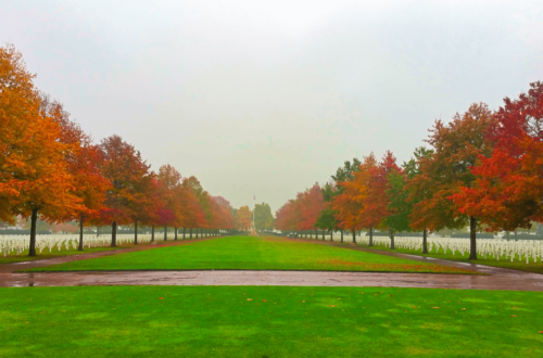 Netherlands American Cemetery with fall leaves