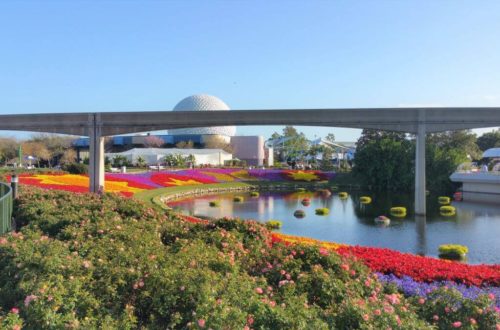 EPCOT Flower and Garden Festival with ball